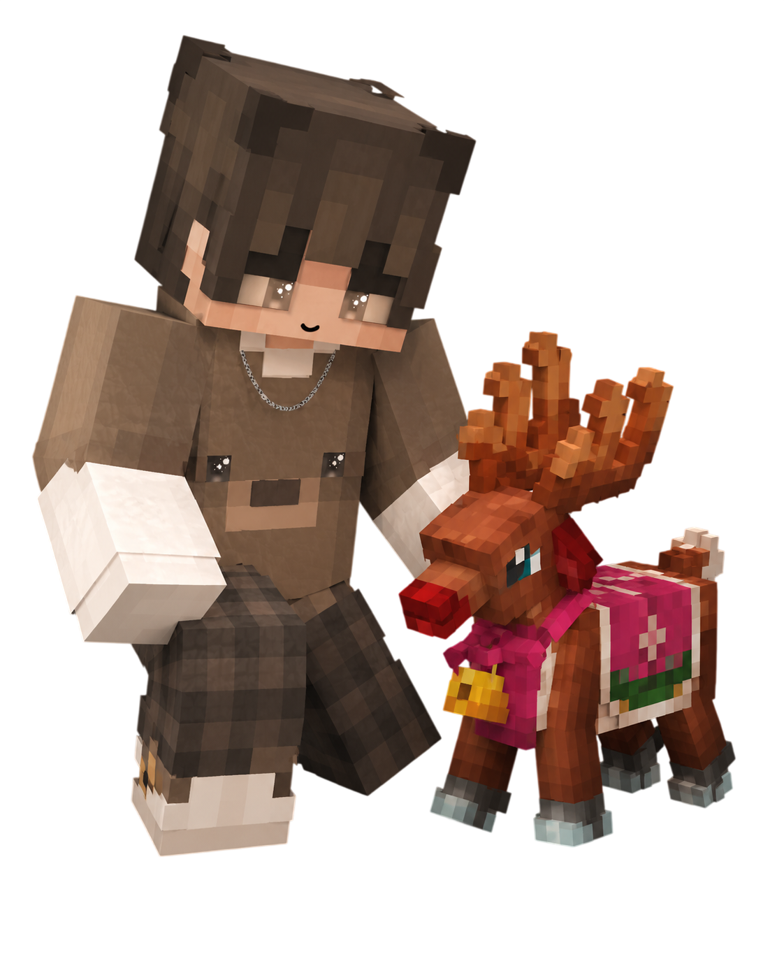 Pet